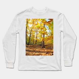 Woodland Trees in Autumn Long Sleeve T-Shirt